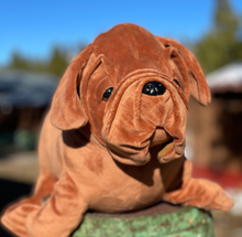 Load image into Gallery viewer, Meet the SEA DOG™ Sea Lion - Pug Dog Plush – The Wise Guardian of the Deep!