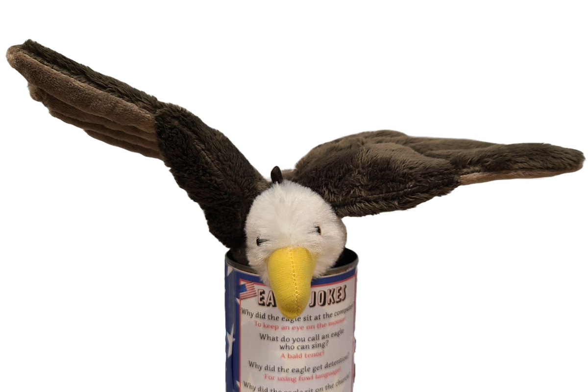 Canned Bald Eagle w/Jokes Plush Patriotic American Flag USA