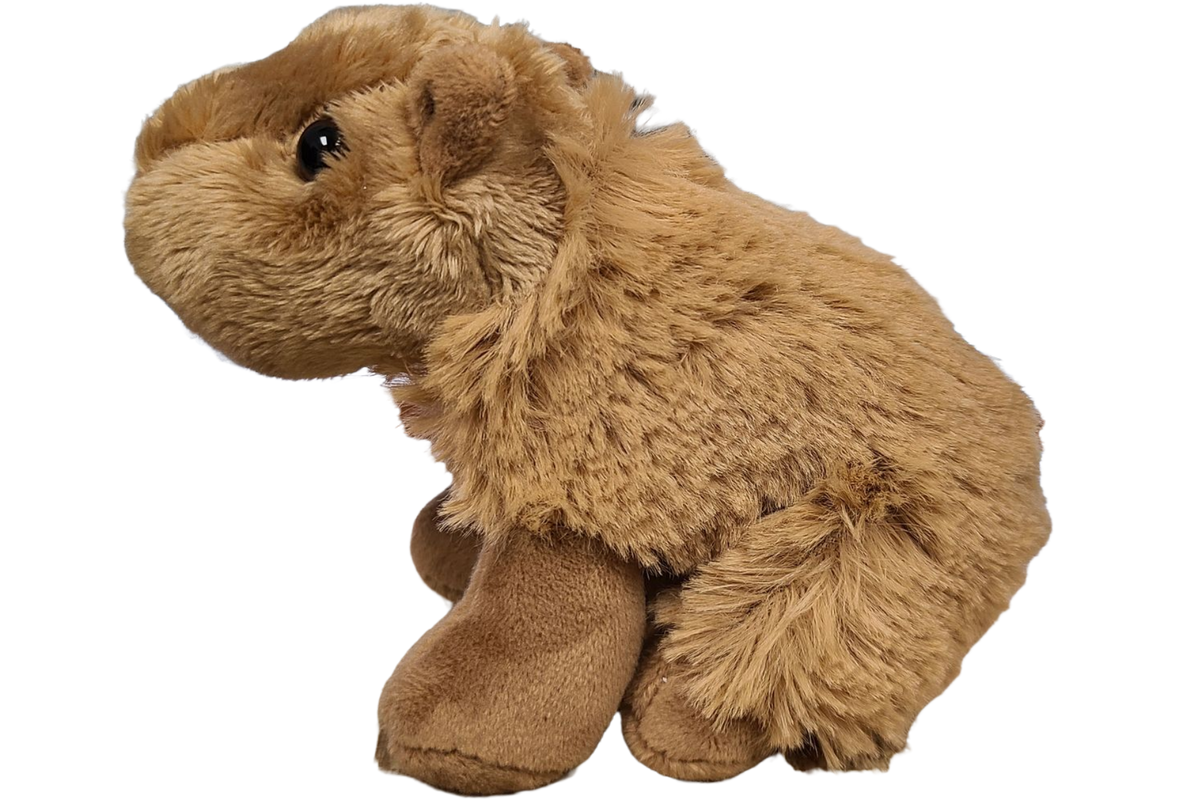 Steve the Canned Capybara | Stuffed Animal Plush w/Jokes