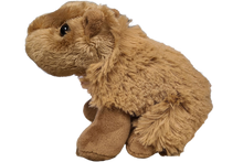 Load image into Gallery viewer, Steve the Canned Capybara | Stuffed Animal Plush w/Jokes
