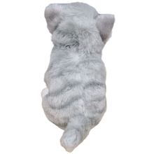 Load image into Gallery viewer, Canned Gray Tabby | Rescue Cat | Eco-Friendly Recycled Gift
