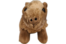 Load image into Gallery viewer, Steve the Canned Capybara | Stuffed Animal Plush w/Jokes
