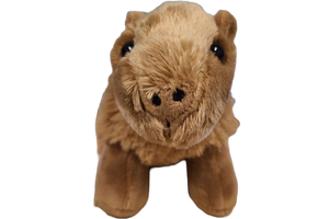 Steve the Canned Capybara | Stuffed Animal Plush w/Jokes