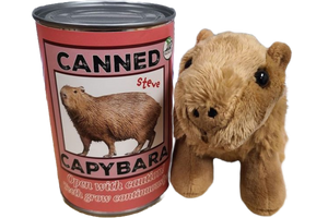 Steve the Canned Capybara | Stuffed Animal Plush w/Jokes