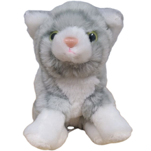 Load image into Gallery viewer, Canned Gray Tabby | Rescue Cat | Eco-Friendly Recycled Gift

